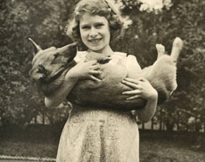 first royal corgi dog