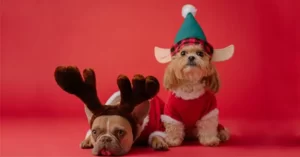 Christmas movies with dogs