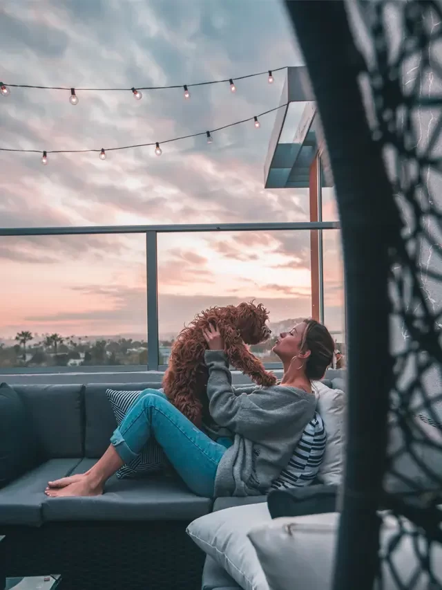 How to raise dogs at home : Important tips for dog parents