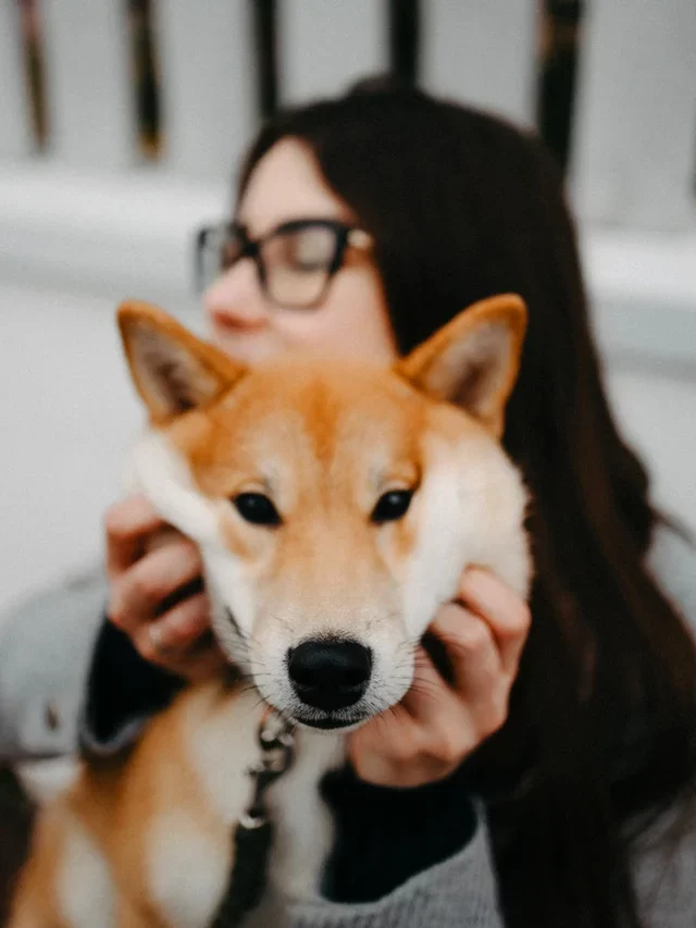 Things that dogs hate about humans very much